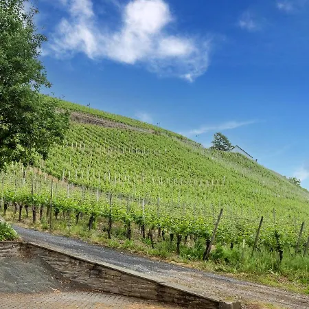 Cheerful Holiday In With Mountain Views Holiday home Kinheim