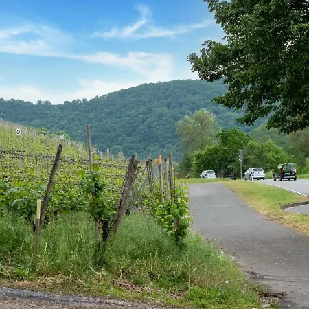 Cheerful Holiday In With Mountain Views Holiday home *
